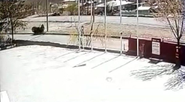 Motosiklet refüje çıktı, sürücü ölümden döndü