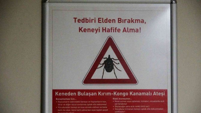 Ölümcül kene vakaları görülmeye başlandı