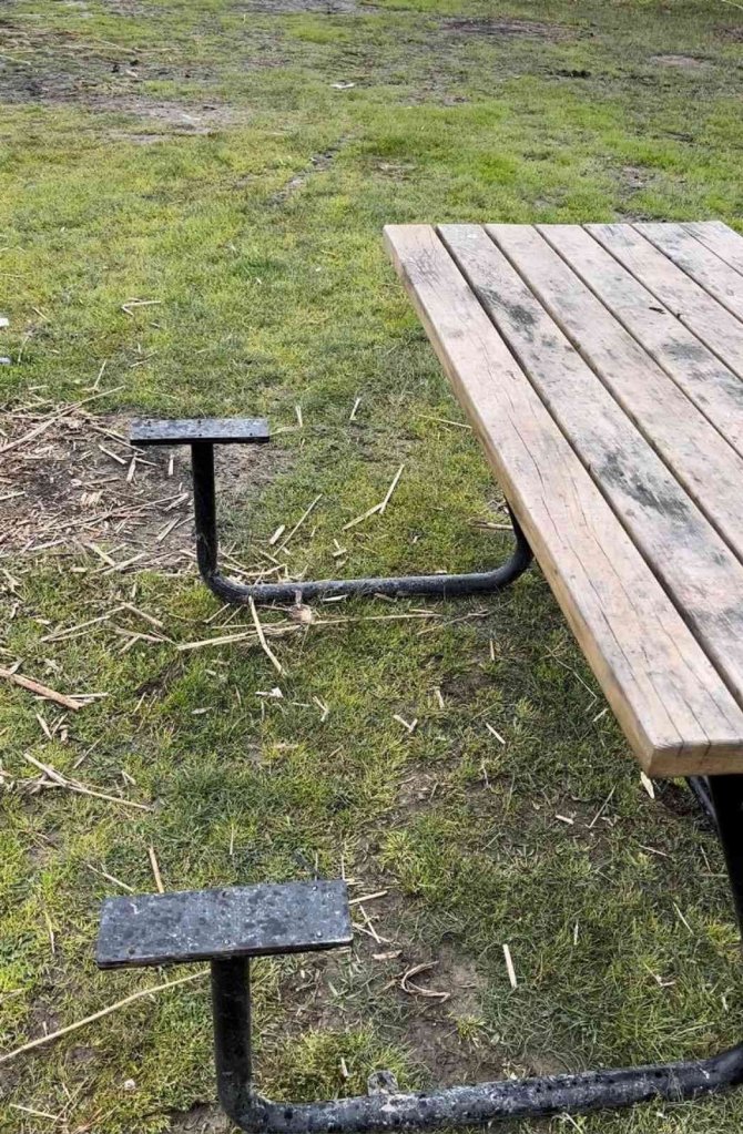 Şehir magandaları piknik masasını yaktı