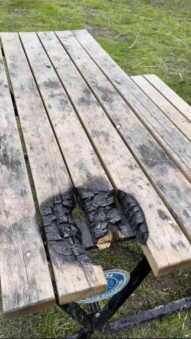 Şehir magandaları piknik masasını yaktı