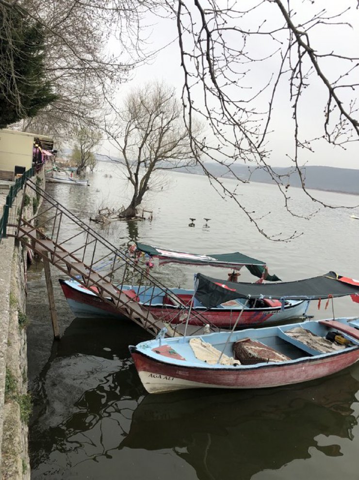 Uluabat Gölü'nde 'su çürüyor' uyarısı