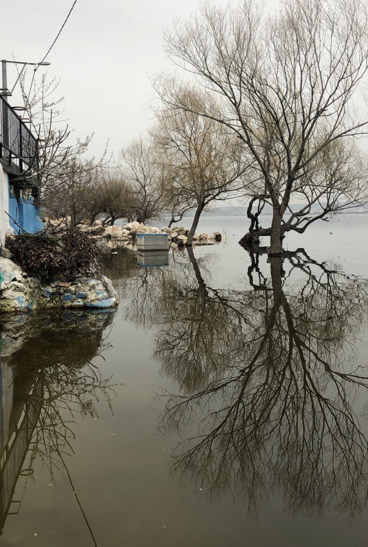 Uluabat Gölü'nde 'su çürüyor' uyarısı