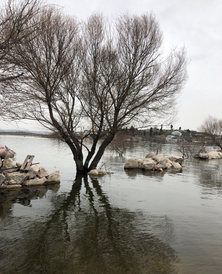 Uluabat Gölü'nde 'su çürüyor' uyarısı