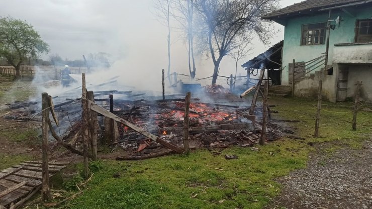 Yanan kilerden yem ve gıdaları kurtarmak isterken elleri yandı