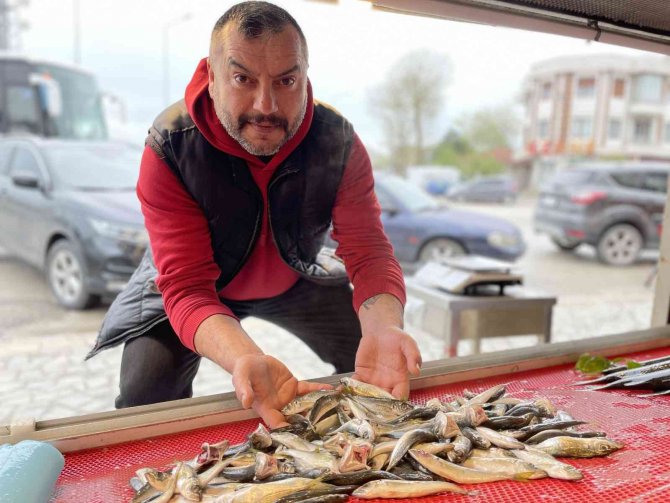 Avlanma yasağı başladı, tezgahları olta balıkları süslüyor