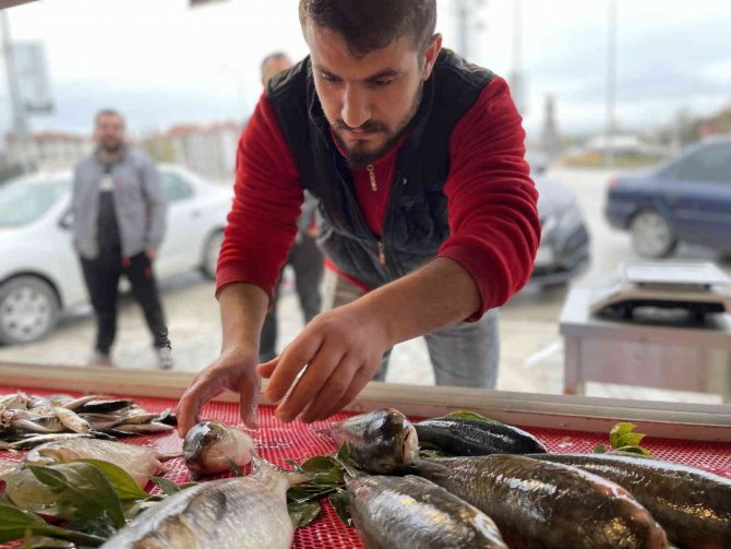 Avlanma yasağı başladı, tezgahları olta balıkları süslüyor