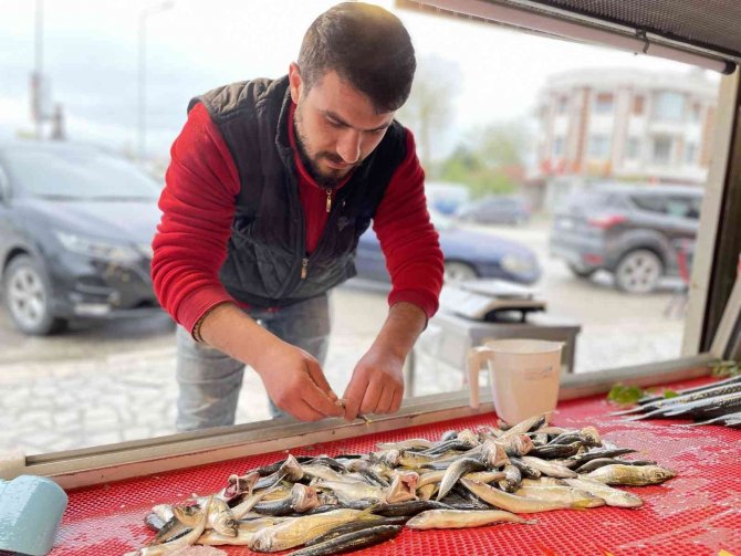 Avlanma yasağı başladı, tezgahları olta balıkları süslüyor