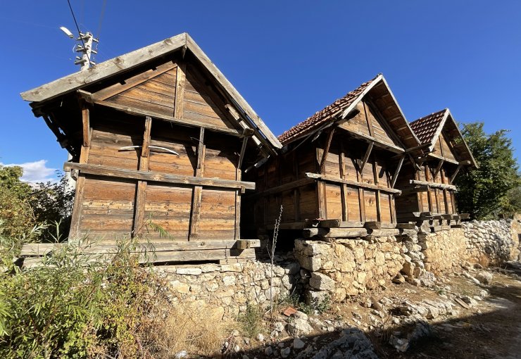 En az 300 yıllık 1737 tahıl ambarı ile arı sereni belgelendi