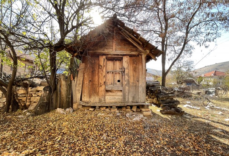 En az 300 yıllık 1737 tahıl ambarı ile arı sereni belgelendi