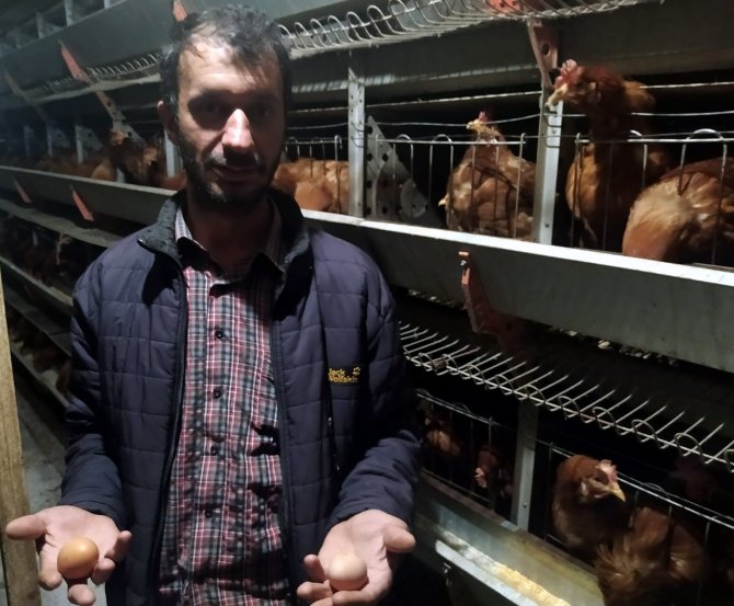 Yumurta üreticileri devletten destek bekliyor