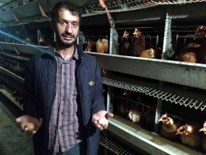 Yumurta üreticileri devletten destek bekliyor