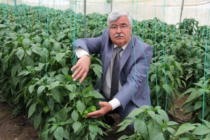 Zirai don Mersin’i vurdu