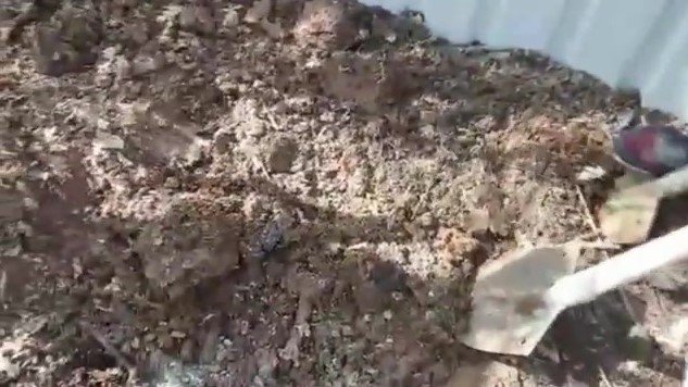 6 ilçede narkotik operasyonları: 14 gözaltı