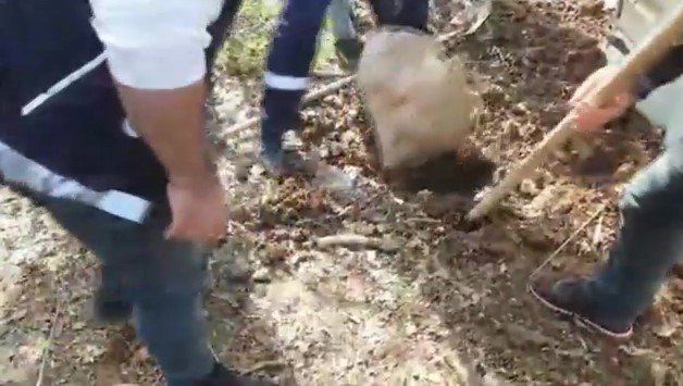 6 ilçede narkotik operasyonları: 14 gözaltı