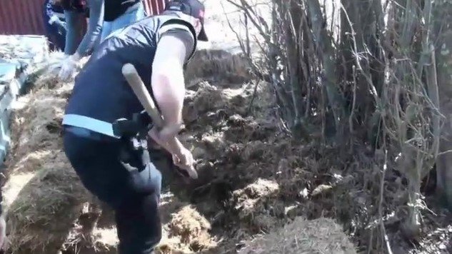 6 ilçede narkotik operasyonları: 14 gözaltı