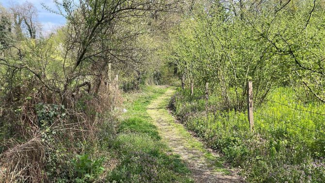 Babasının mezarını ziyaret etti, vuruldu