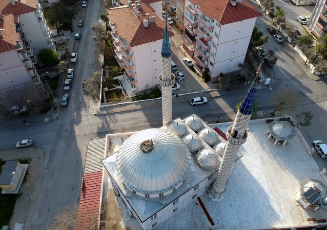 Leylekler 20 yıldır aynı kubbeye yuva kuruyor