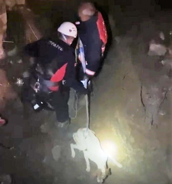 Çukura düşen köpeği itfaiye kurtardı