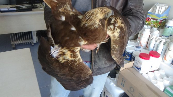 Çiftçiden örnek davranış