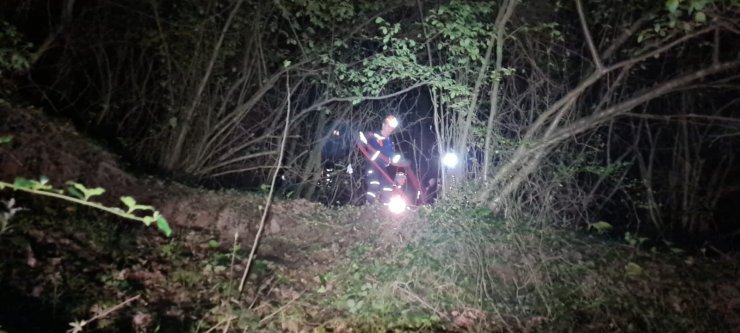 Paraşütle ağaçlık alana düştü