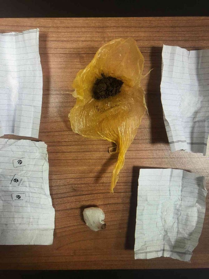 Van’da ‘torbacı’ operasyonu