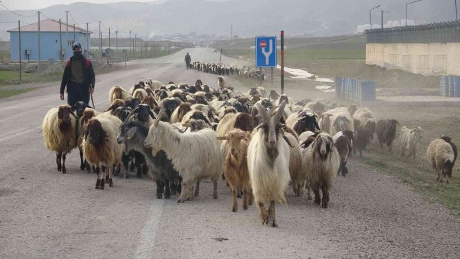 Göçerlerin zorlu yolculuğu başladı