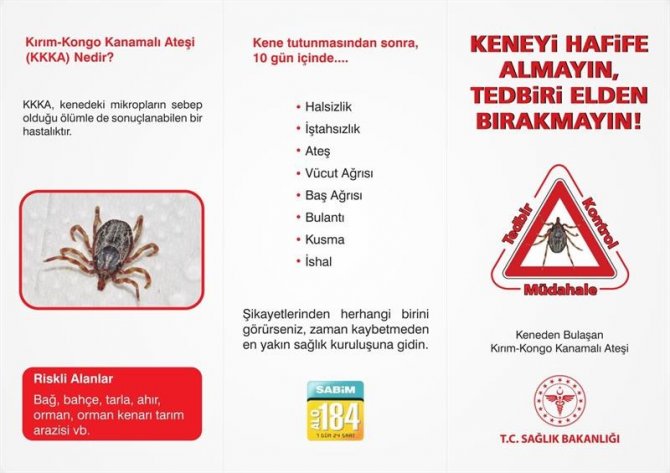 Havaların ısınmasıyla keneler arttı