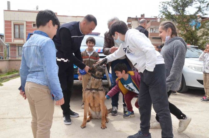 Jandarma ekipleri ve kullandıkları ekipmanlar tanıtıldı