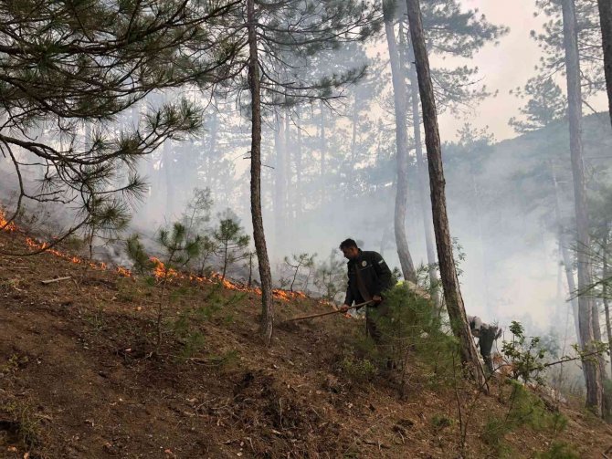 Akli dengesi bozuk şahıs ormanı yaktı, 1,9 hektar alan zarar gördü
