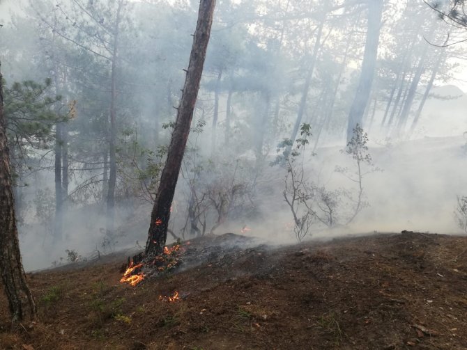 Akli dengesi bozuk şahıs ormanı yaktı, 1,9 hektar alan zarar gördü