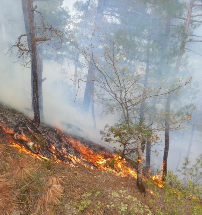 Akli dengesi bozuk şahıs ormanı yaktı, 1,9 hektar alan zarar gördü