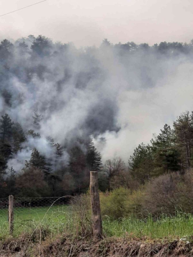 Akli dengesi bozuk şahıs ormanı yaktı, 1,9 hektar alan zarar gördü