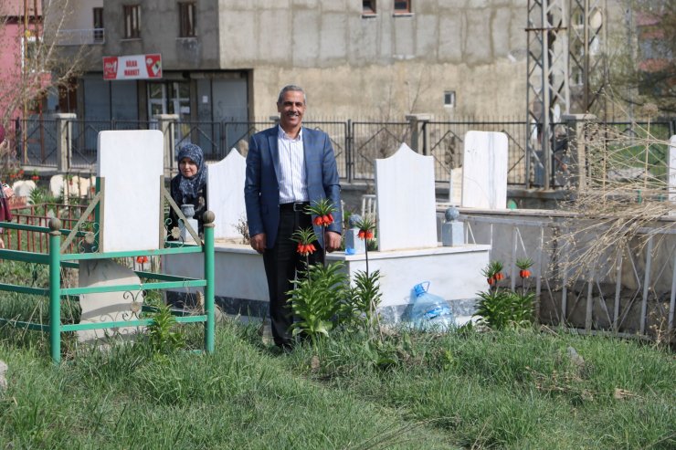 Bir aylık ömürleri olan ters laleler Yüksekova'da çiçek açtı