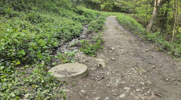 Ormandaki kuyuda cesedi bulundu