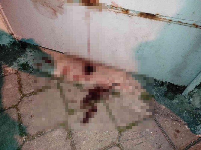 Hırsızlık şüphelisini kovalayan bekçinin bacağı demire saplandı