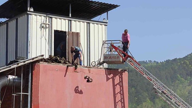 Kereste fabrikasında yangın paniği