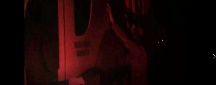 Köpekleri çöplüğe bırakan kamyonun ait olduğu belediyeye para cezası