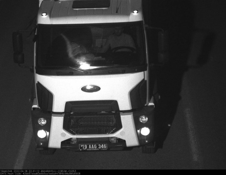 Köpekleri çöplüğe bırakan kamyonun ait olduğu belediyeye para cezası