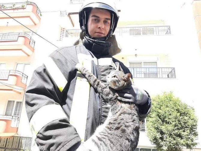 Kurtarılan kedi itfaiye erinin kucağından inmedi