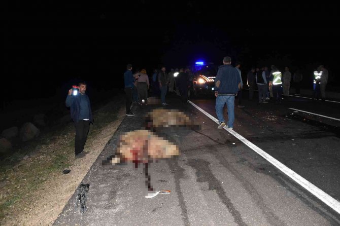 Otomobil koyun sürüsüne daldı, 12 koyun telef oldu