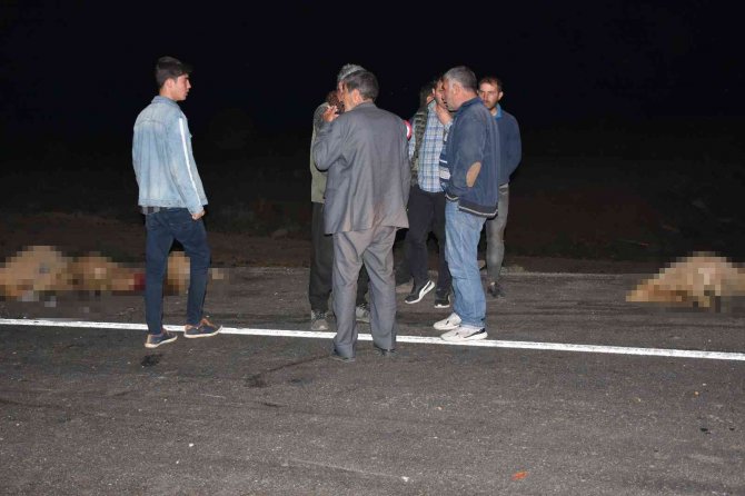 Otomobil koyun sürüsüne daldı, 12 koyun telef oldu