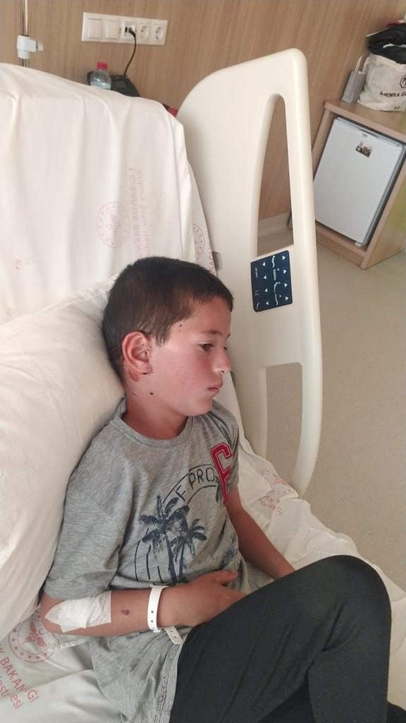 8 yaşındaki çocuğa köpek saldırdı