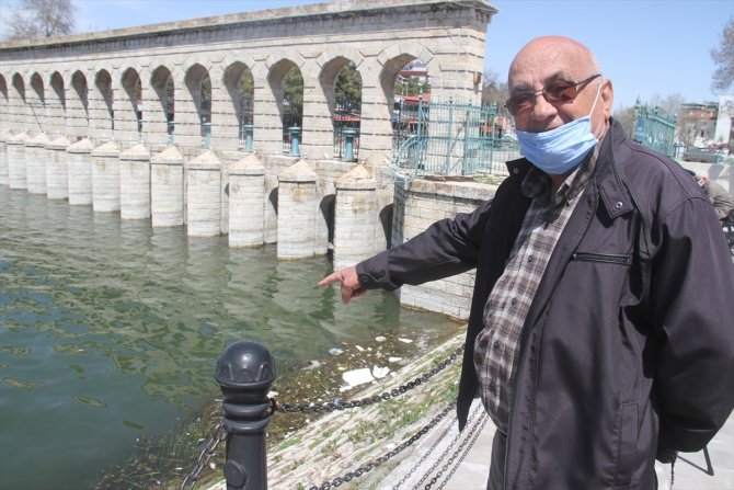 Beyşehir Gölü kıyısında ölü balıklar bulundu