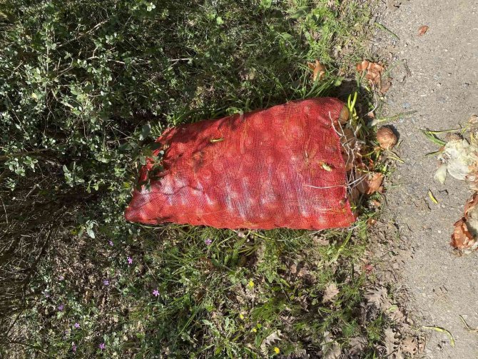 Çuval çuval soğan, ormana atılmış halde bulundu