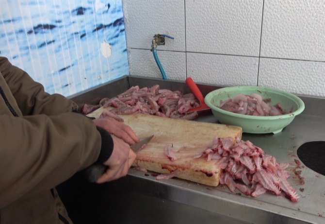 Denizin ısınmasıyla ’çarpan’ balığı kendini gösterdi