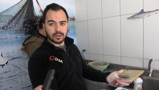 Denizin ısınmasıyla ’çarpan’ balığı kendini gösterdi