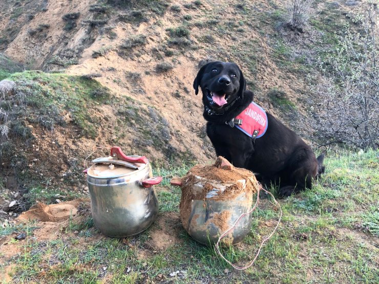 Düdüklü tencerelere yerleştirilmiş EYP bulundu
