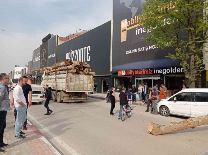 Kamyonun üzerinden düşen tomruk üç aracı ezdi