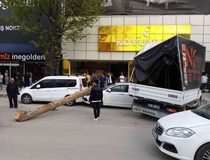 Kamyonun üzerinden düşen tomruk üç aracı ezdi