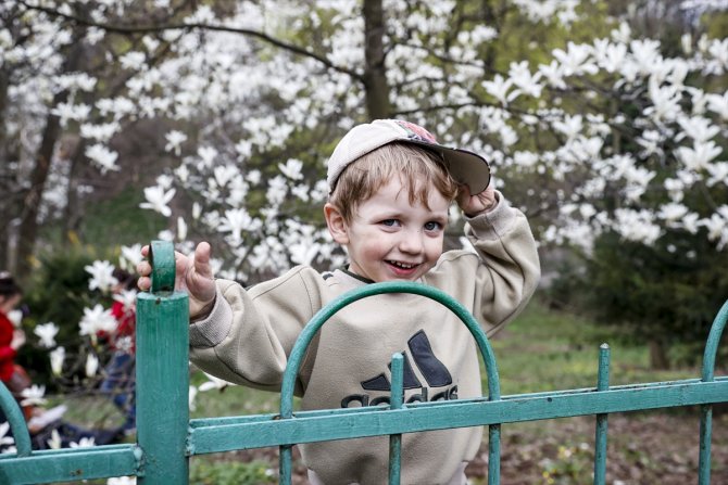 Kiev'in caddeleri canlanmaya başladı